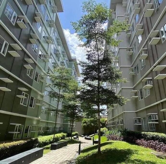 Apartment #17-1 Trees Residences *