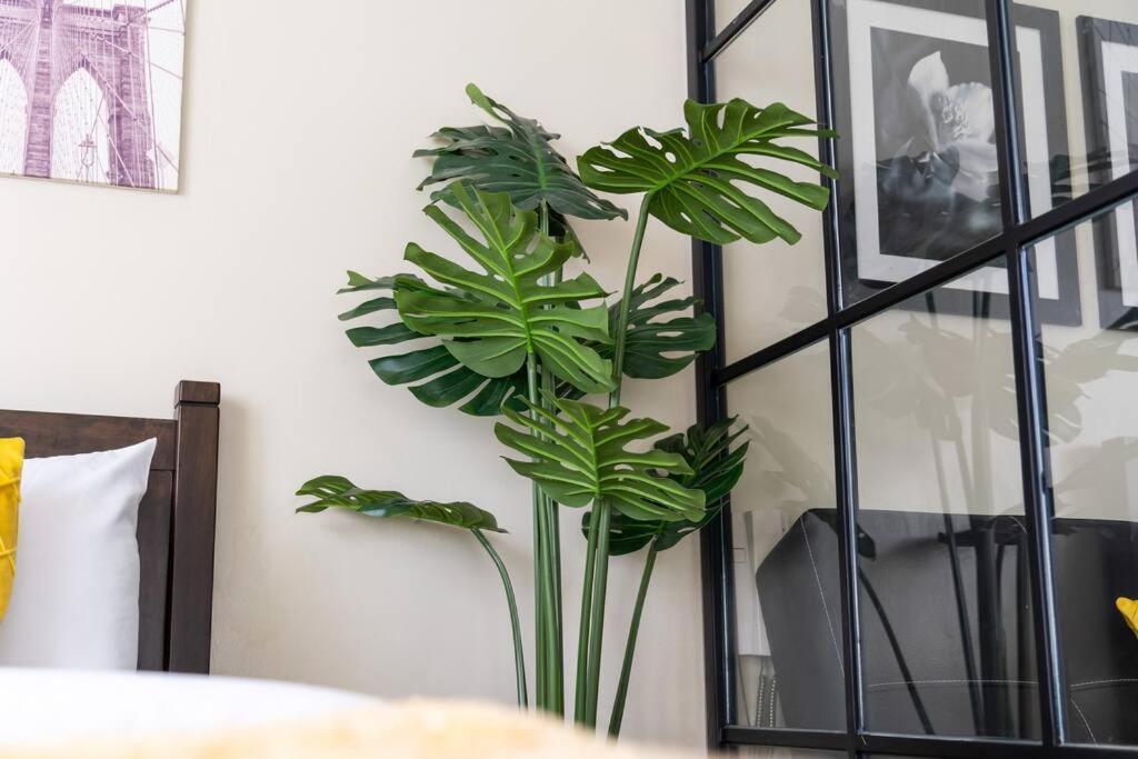 Urban Oasis Cozy Escape Manila