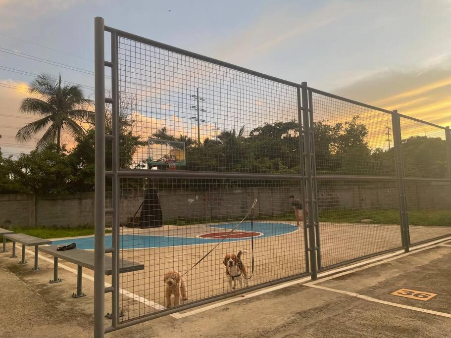 Apartment Sunny Solace A Homey In Filinvest Alabang Manila