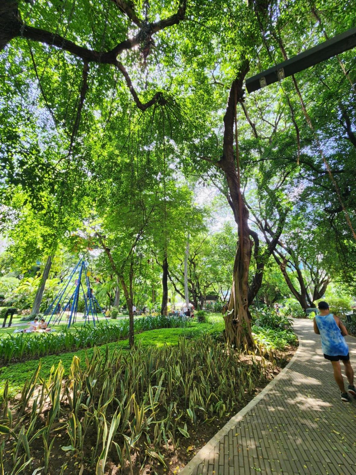 Muji Kltower Makati - Greenbelt - With Pool Access Manila