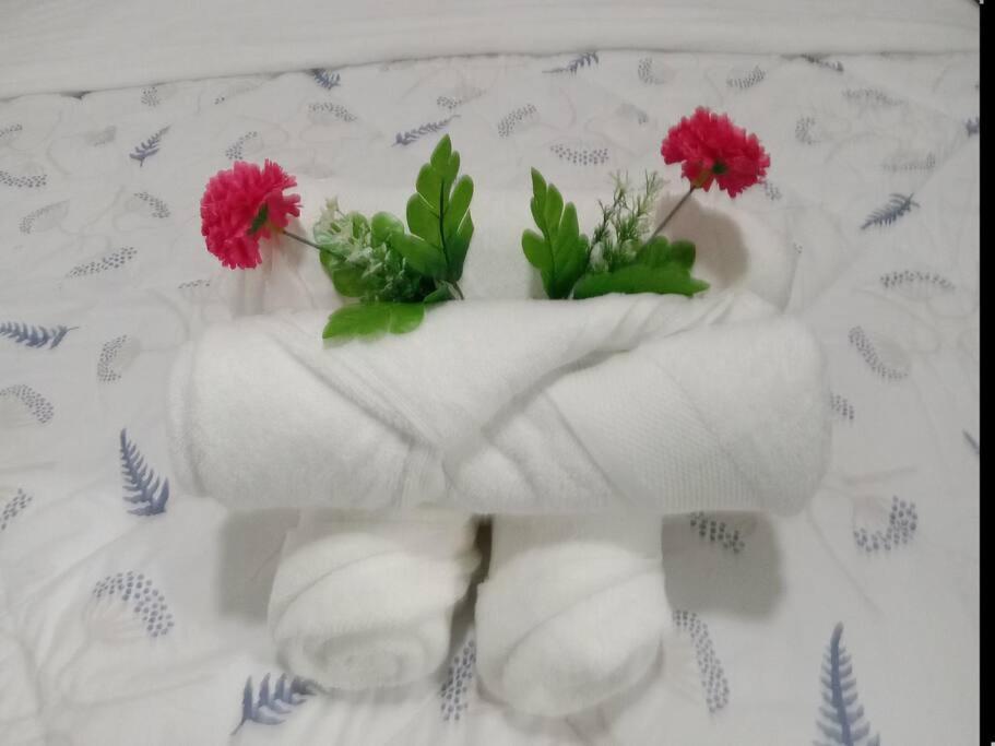 Apartment Luxurious Bayview 2br Near Moa Picc Ccp Free Wifi In Pasay Manila