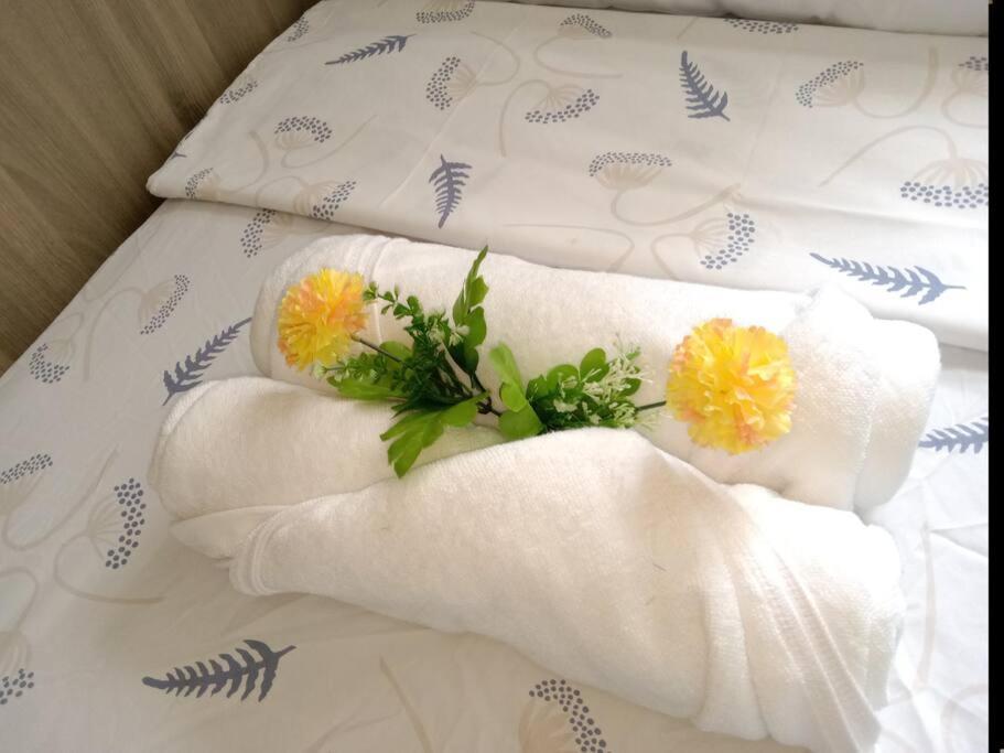 Luxurious Bayview 2br Near Moa Picc Ccp Free Wifi In Pasay Apartment *