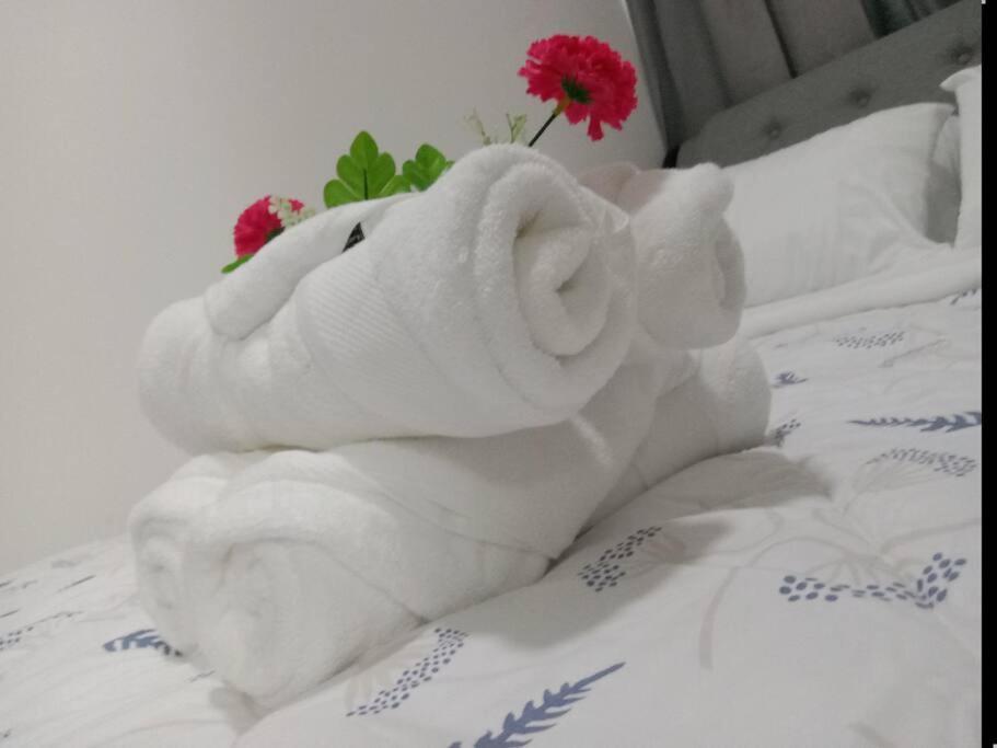 Luxurious Bayview 2br Near Moa Picc Ccp Free Wifi In Pasay Apartment Manila