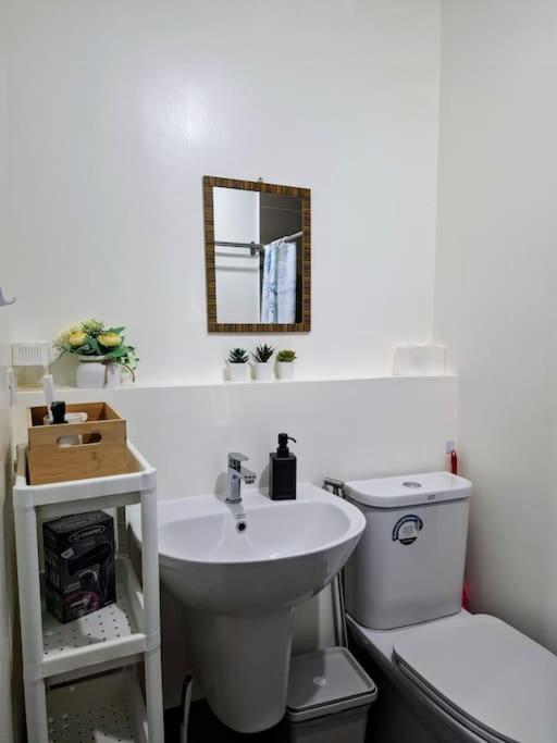 Perfect For In Levels Burbank * Manila