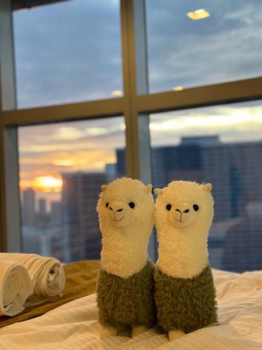 Alpaca-lemon Penthouse Manila