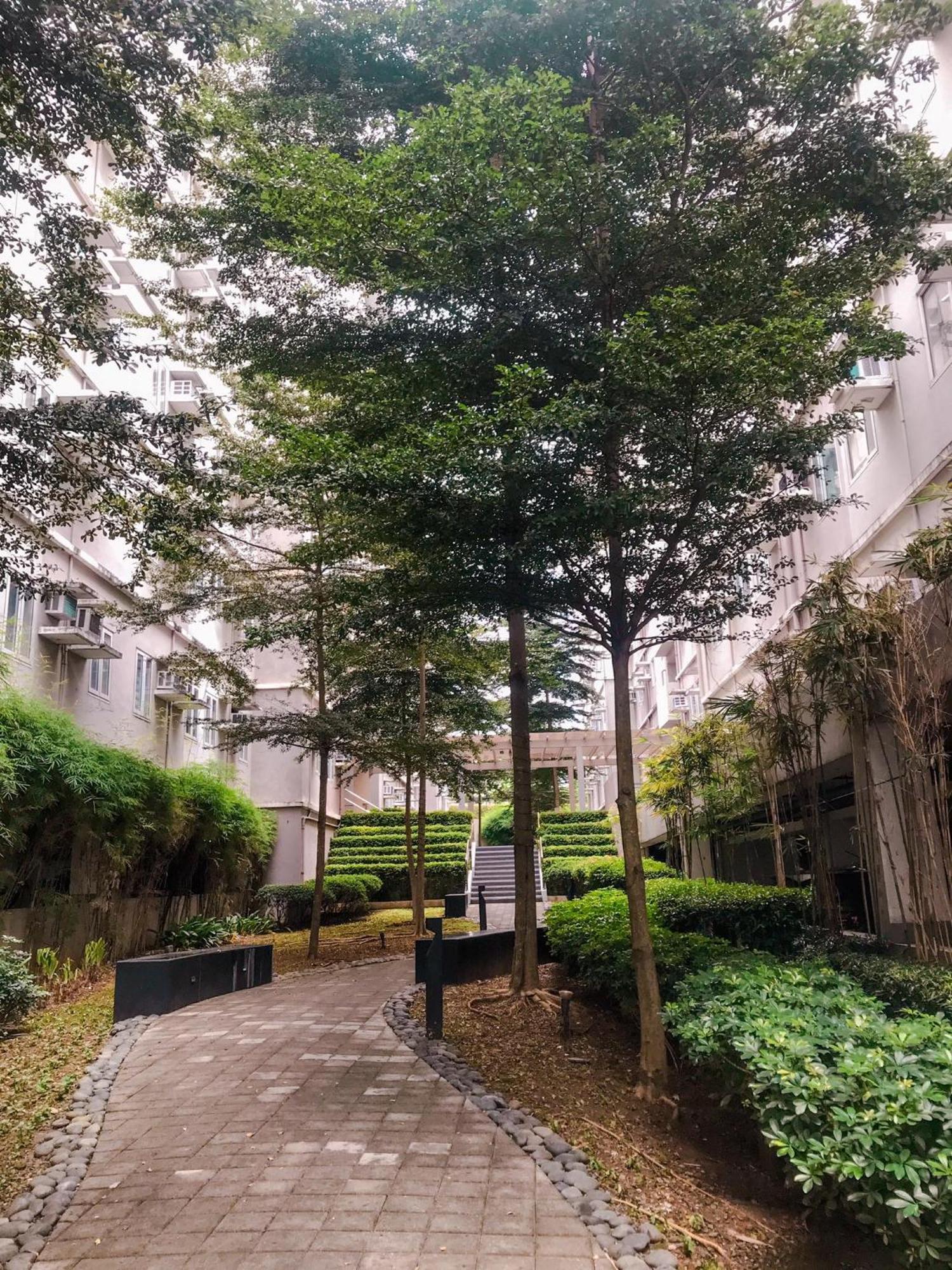 Apartment Cozy Near Mall Sm Fairview Trees Residences Quezon