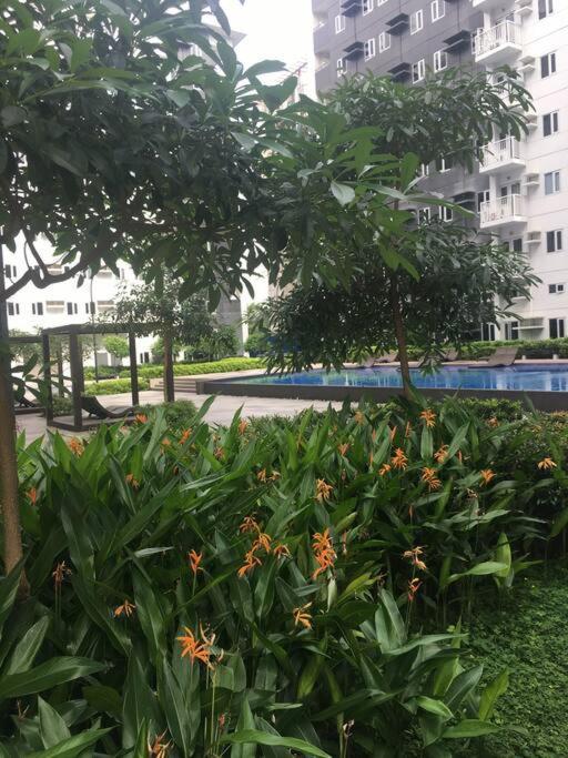 A & Y Staycation Apartment *