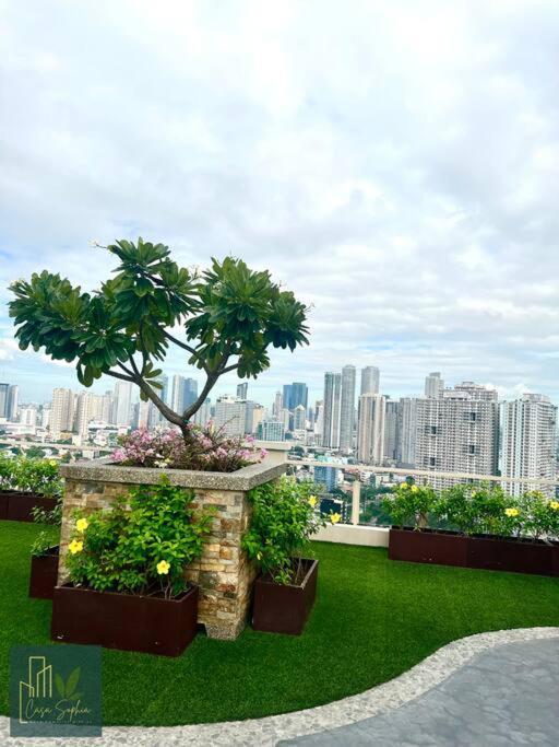 Apartment Casa Sophia Affordable Near Bonifacio Global Bgc Cbd Manila