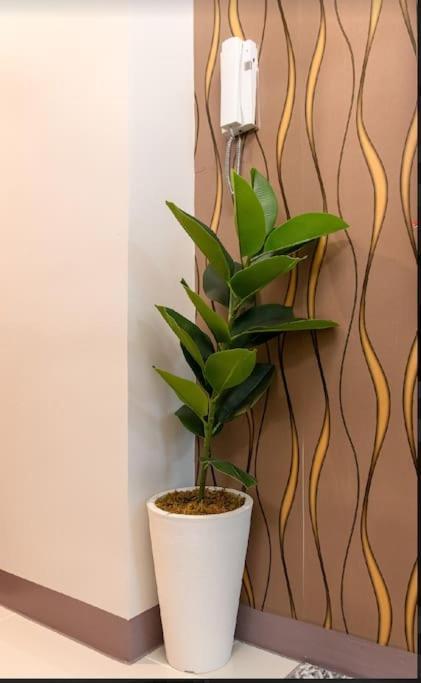 Apartment Stunning With Balcony Manila