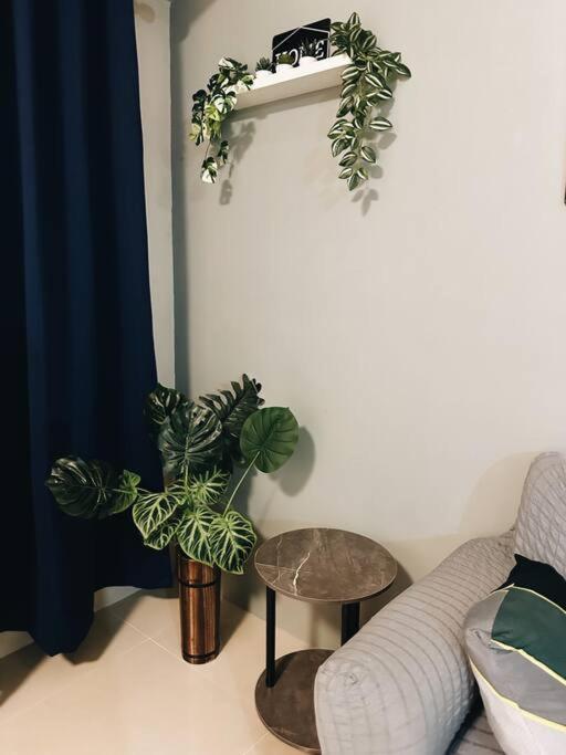 Apartment Comfy Space By N Fly *