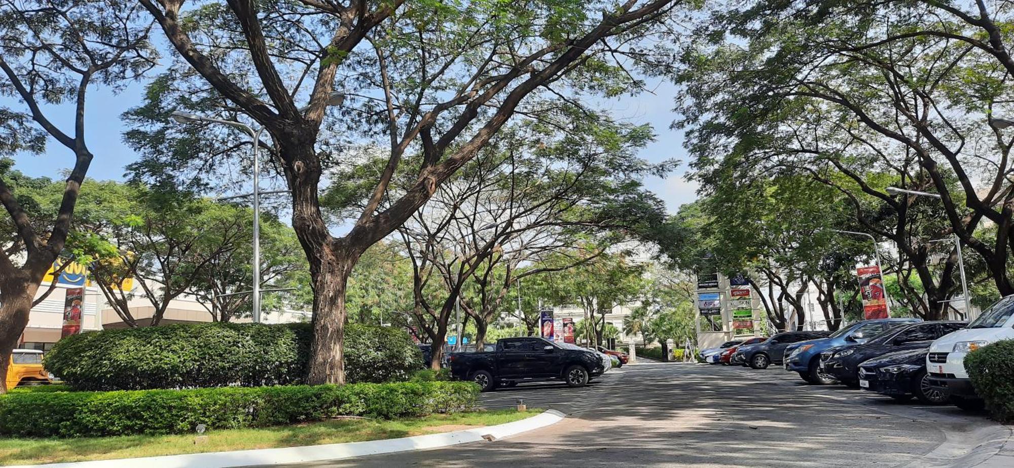 Apartment Life In Refinement At Ivory Wood *