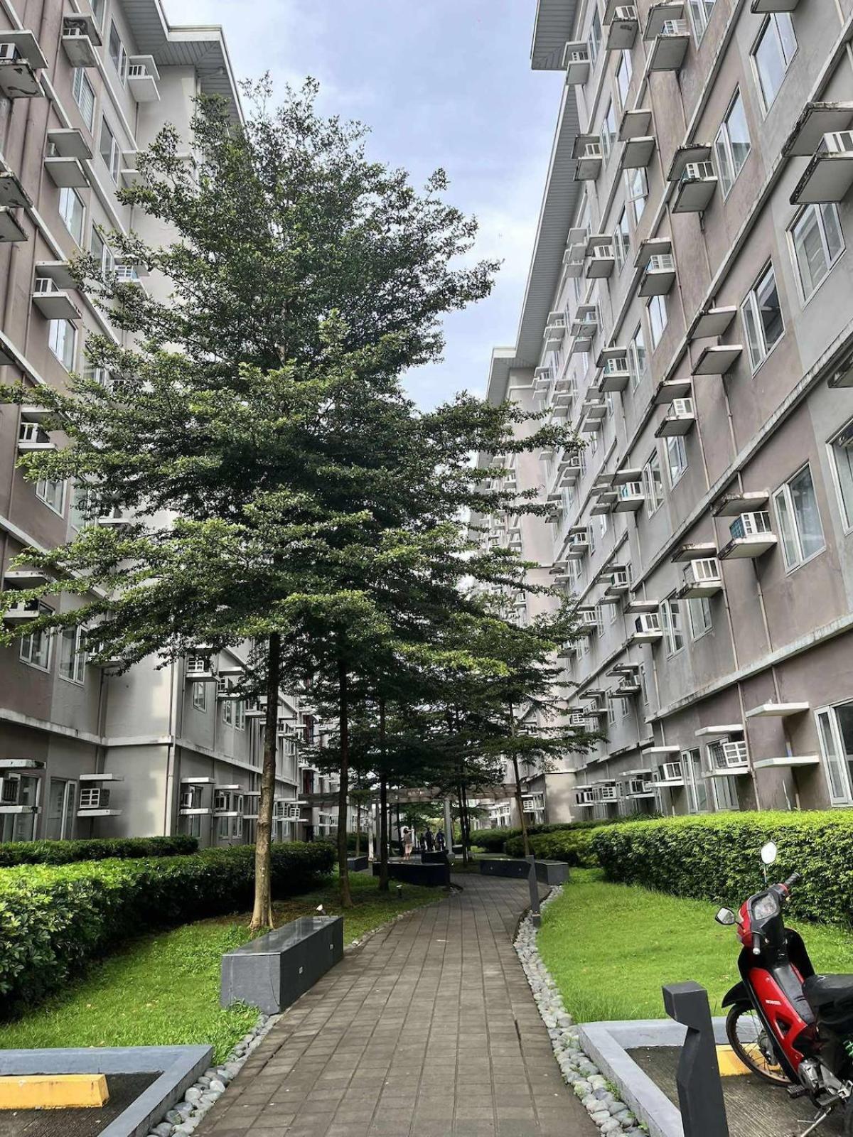 New Staycation In Trees *