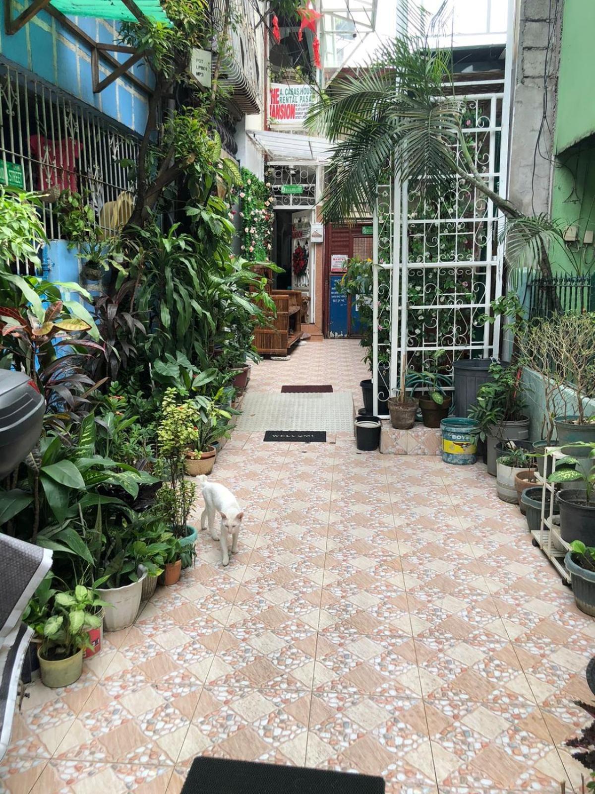 The Mansion - 20 Pax Luxury Near Airport In Pasay Apartment