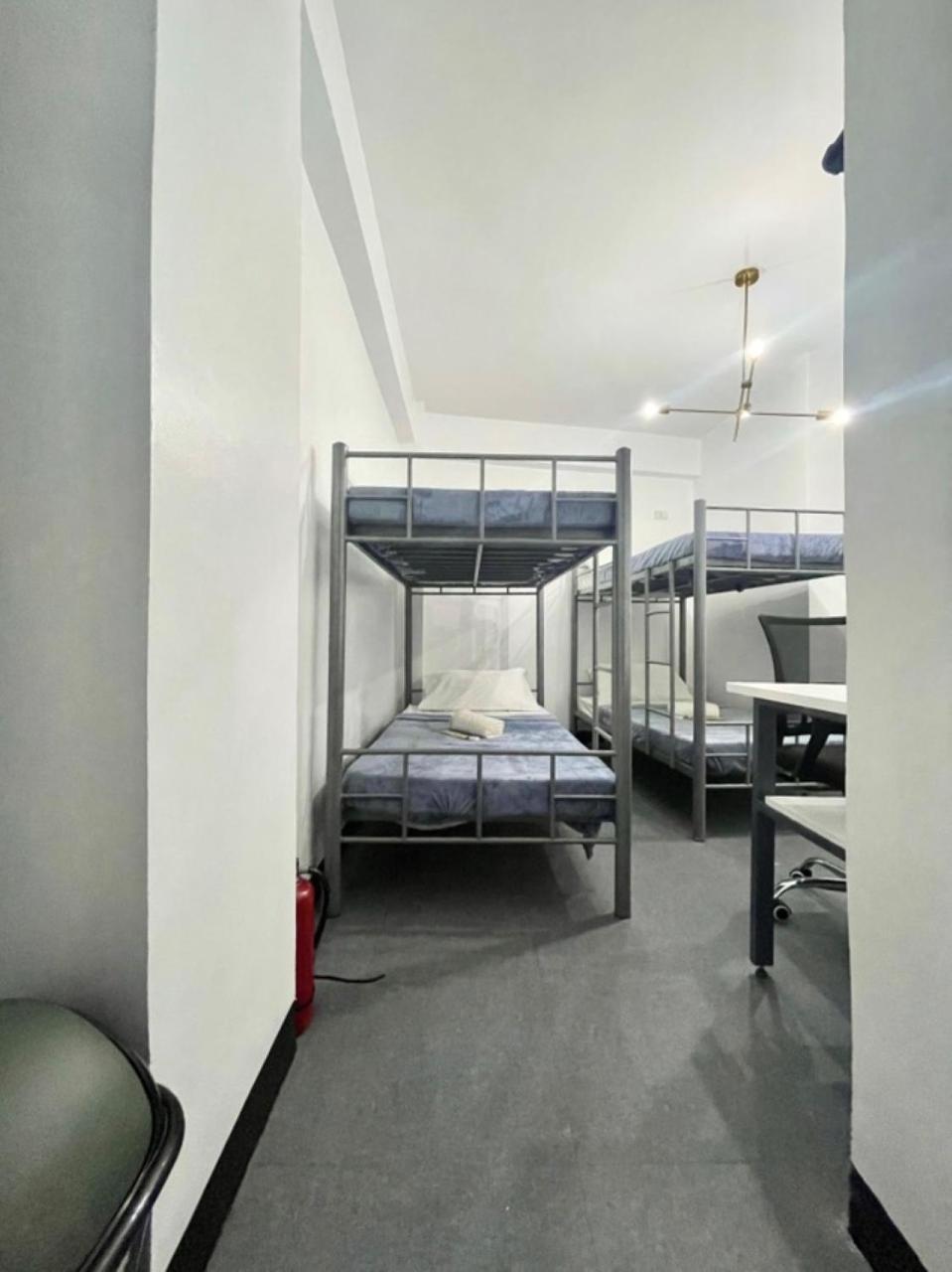 Cedar House Hostel