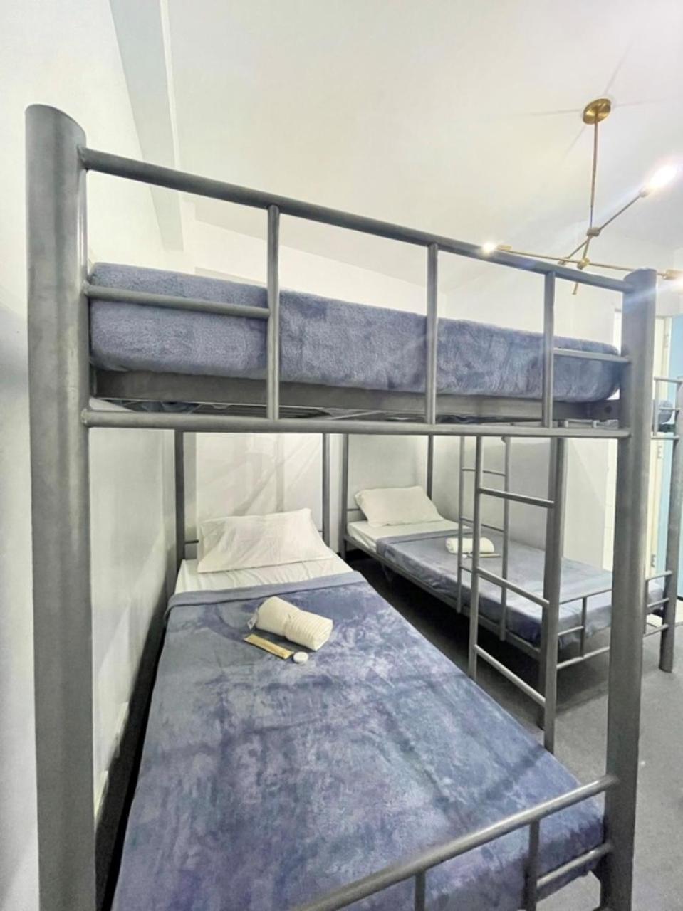 Cedar House Hostel *