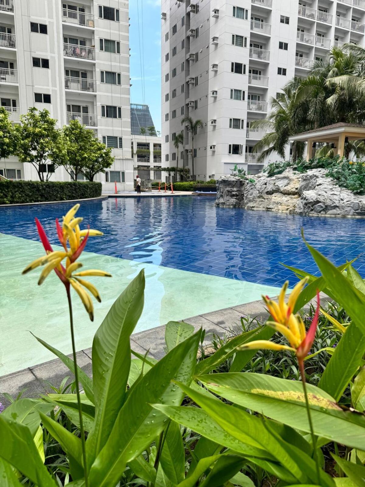 Apartment Shore 2 Residences 539 Facing Pool By Prime *