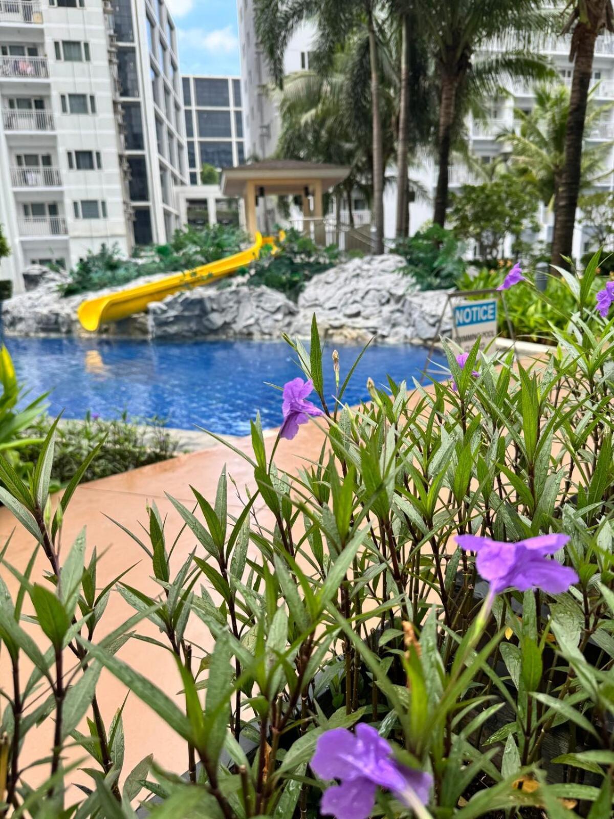 Shore 2 Residences 539 Facing Pool By Prime Apartment