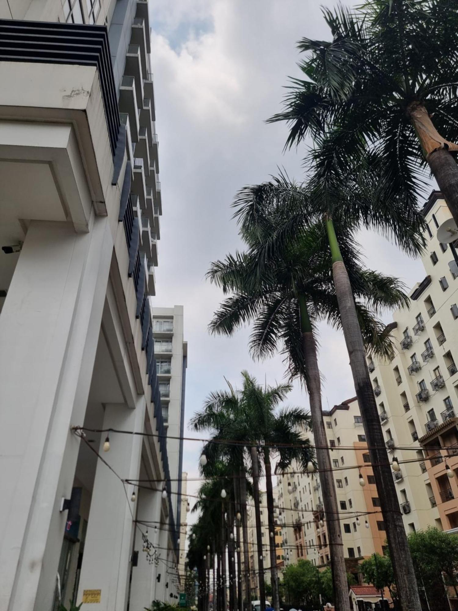 Apartment One Palm Tree Manila