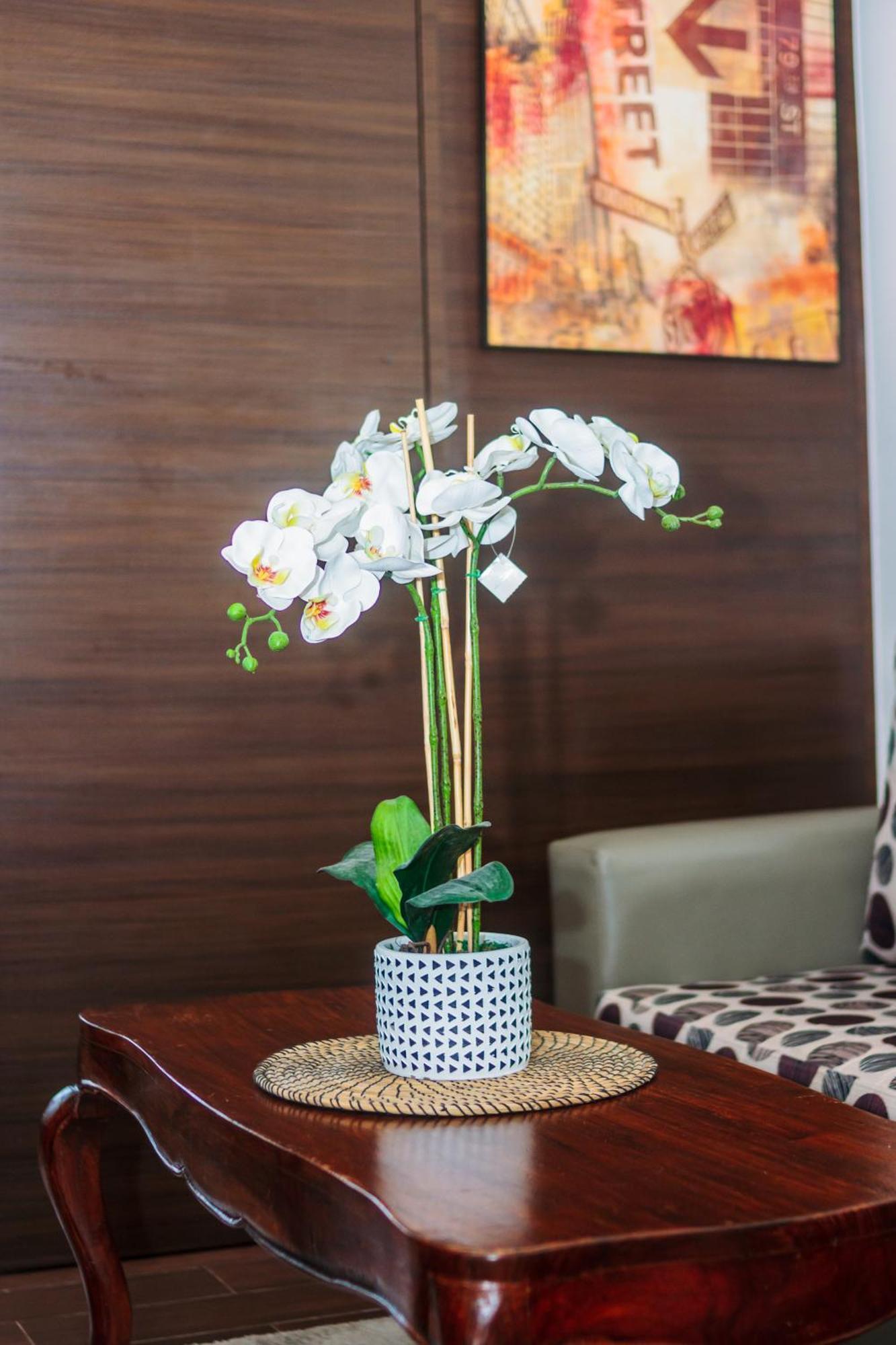 Apartment Urban Charm Cozy Meet 51 Air Swim Gym Park 300mb Manila