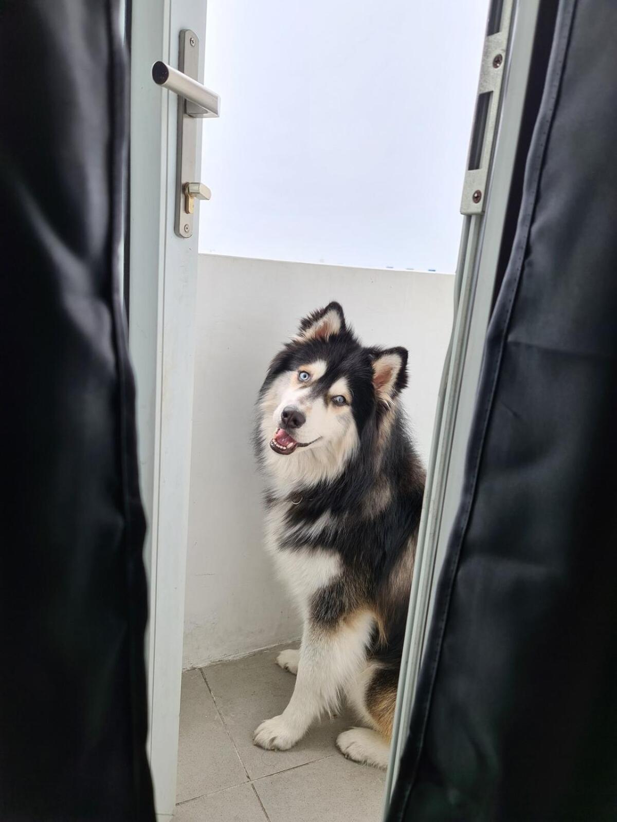 Pet Friendly In Timog With Balcony View *
