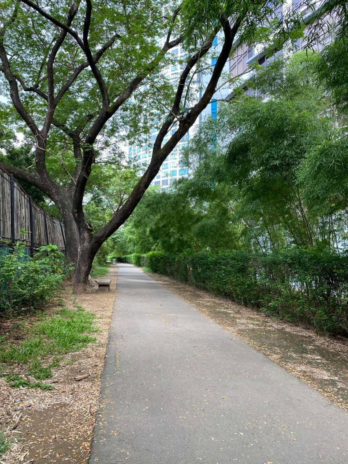 1br Modern Bellagio Oasis Burgos Circle View Bgc * Manila