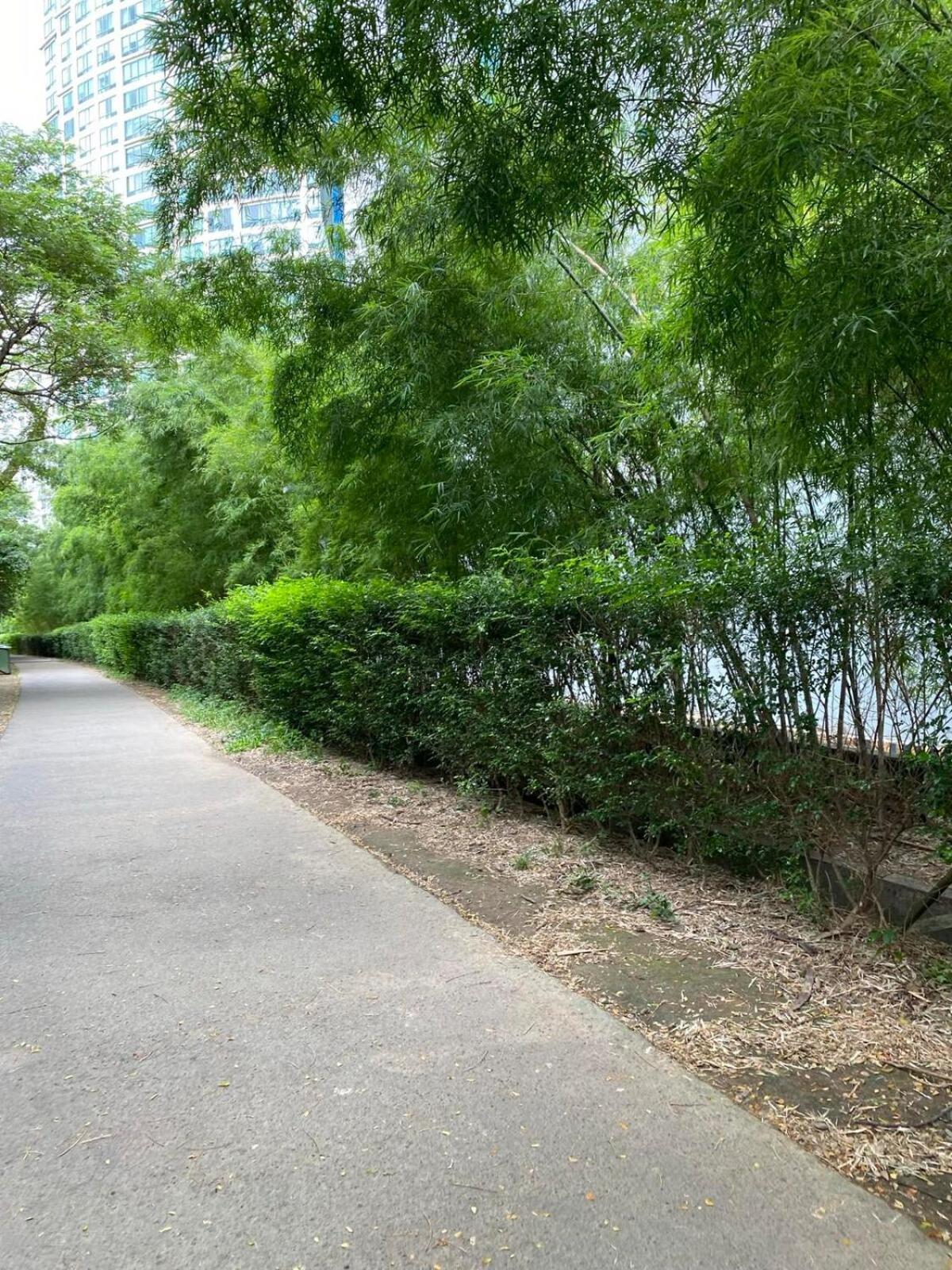 1br Modern Bellagio Oasis Burgos Circle View Bgc *