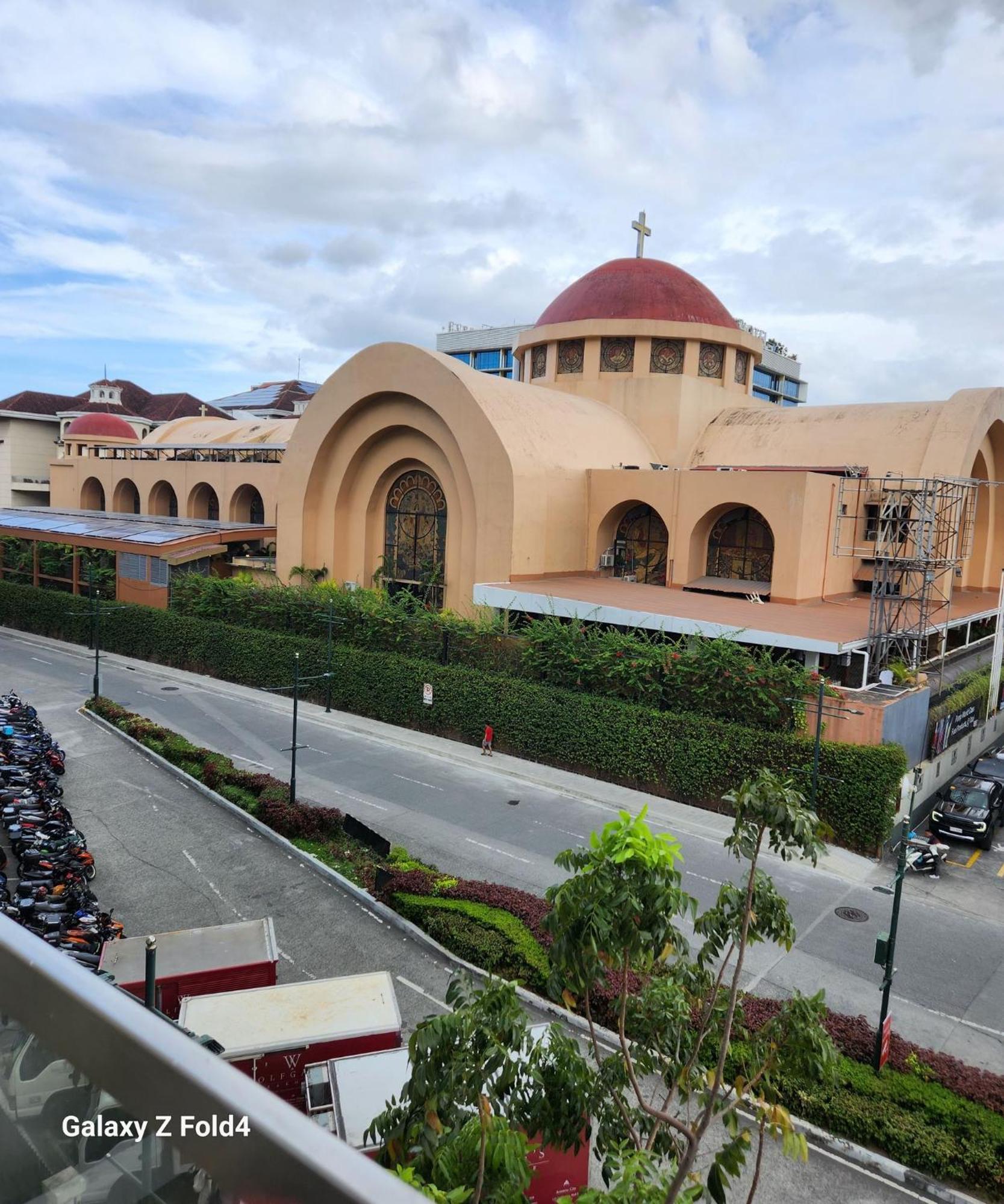 One Palm Tree , New Port Across Naia 3