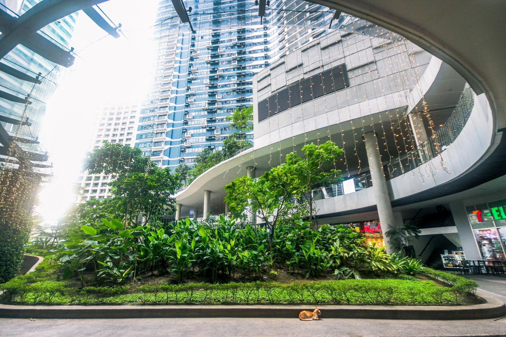 Beauty Cindrella Makati Penthouse 3 Bedroom Apartment