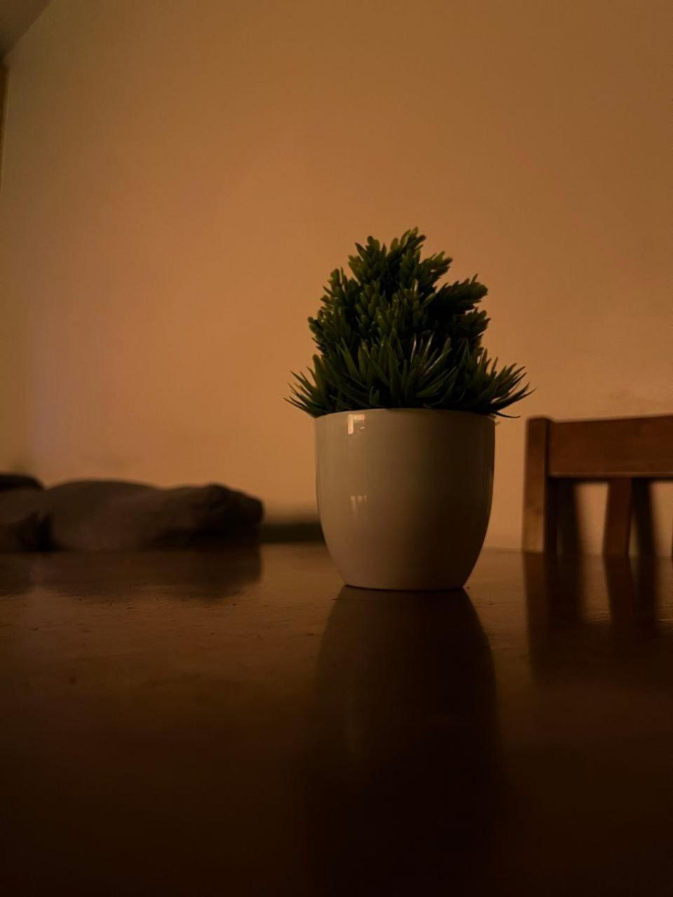Fern At Grass Residences Starry Staycation Aparthotel Manila