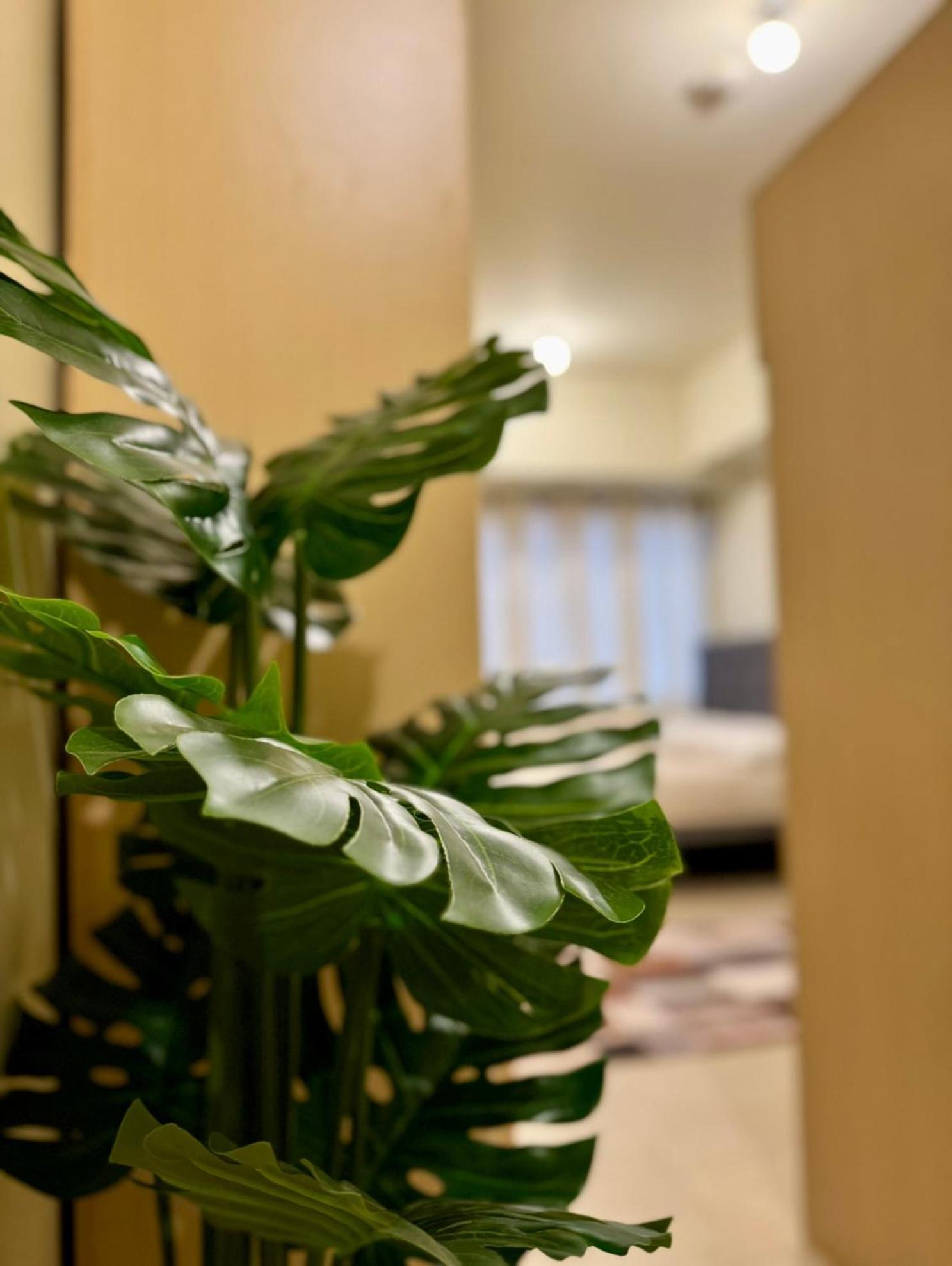 Apartment Cozy Unit Beside Solaire North *
