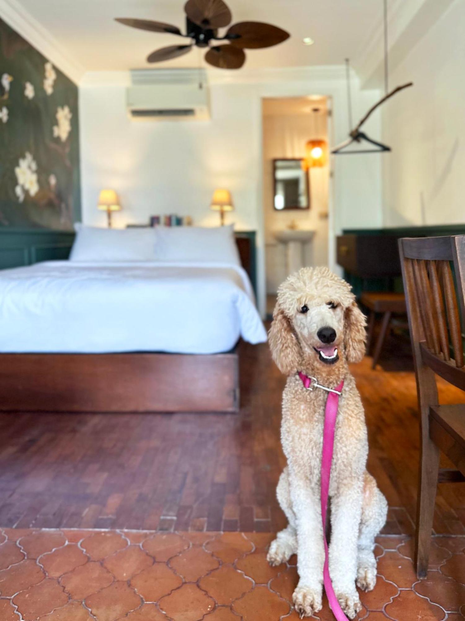 Miranamin Nest Calachuchi - Balcony, Garden View, Pet Friendly *