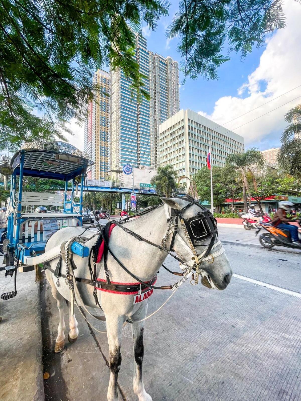 Apartment Spacious 3br Near Us Embassy, Ocean Park Manila