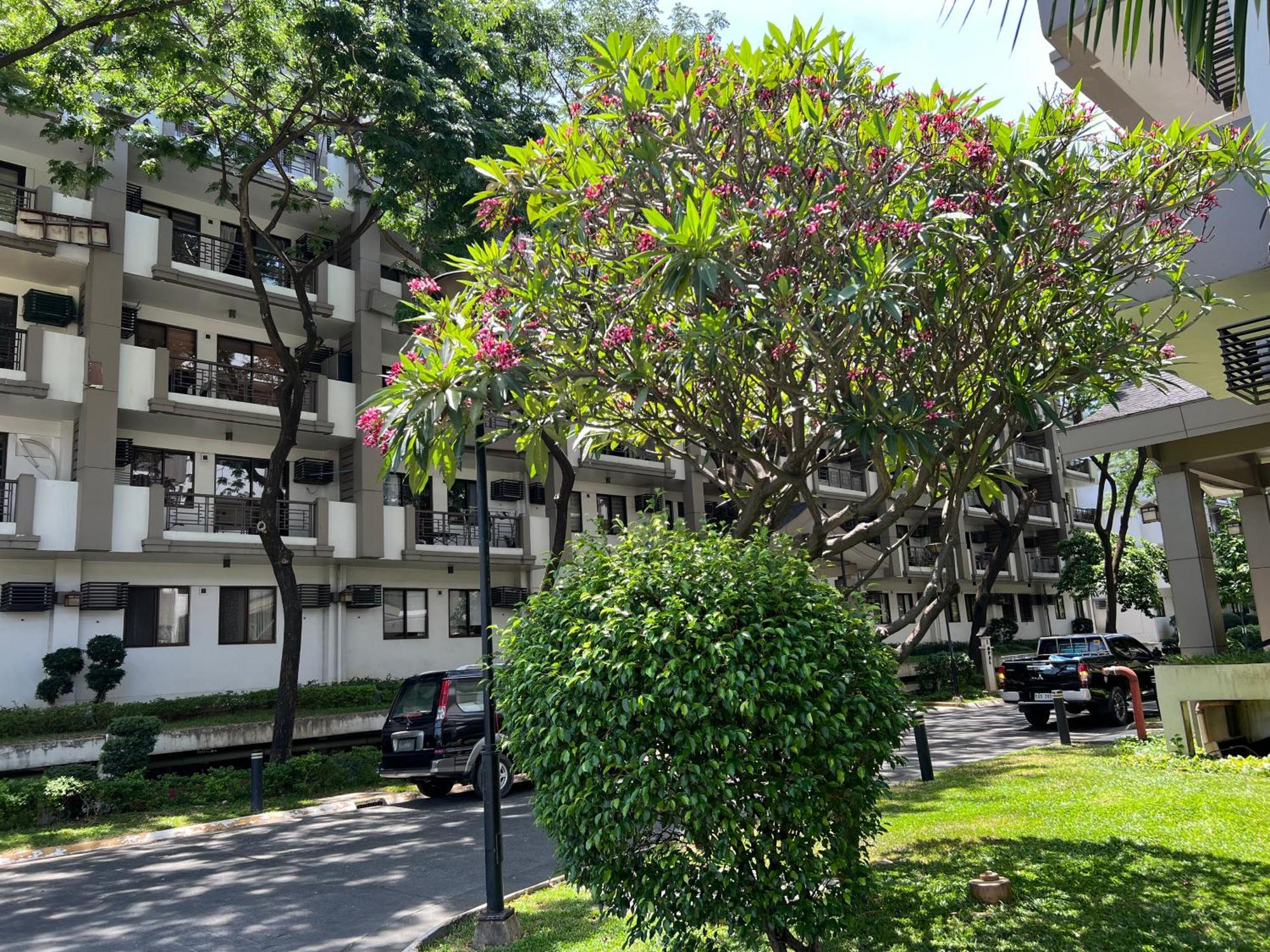 Stunning 2br Apt, 65 Sq M Netflix At Rosewood Pointe Residences Near Bgc Manila
