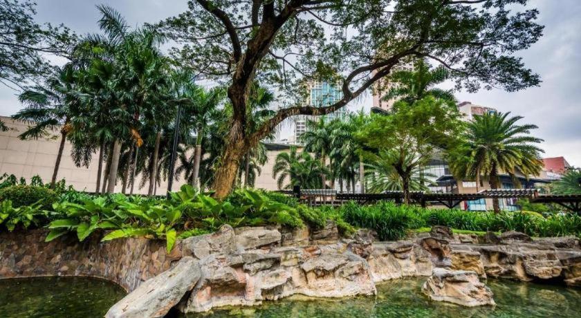 Palm Manila