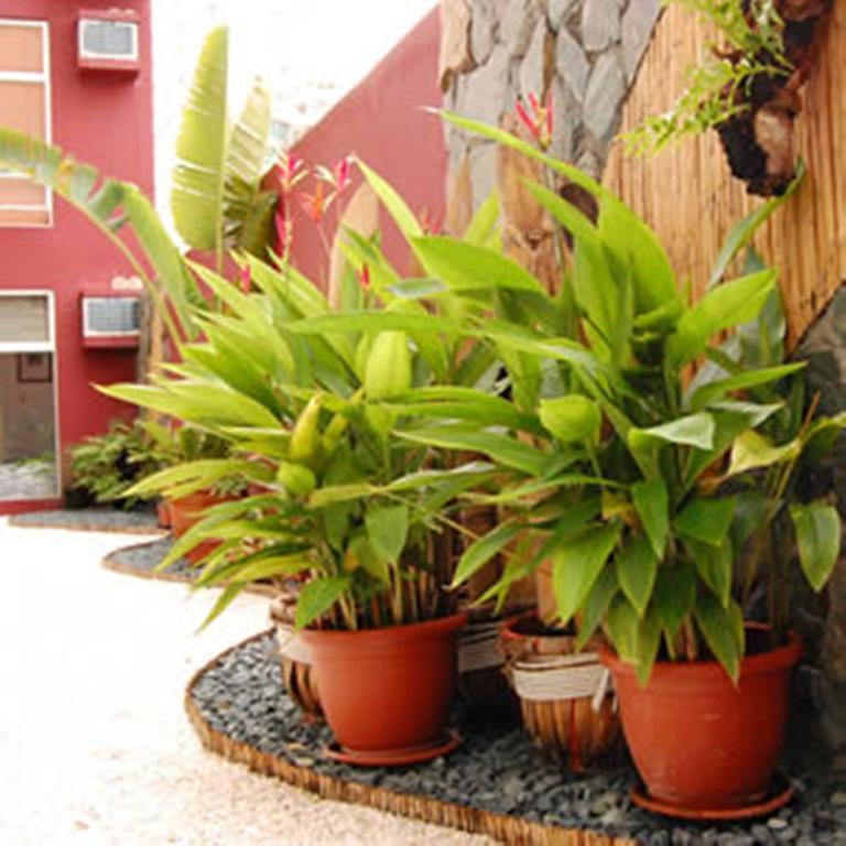 Azotea