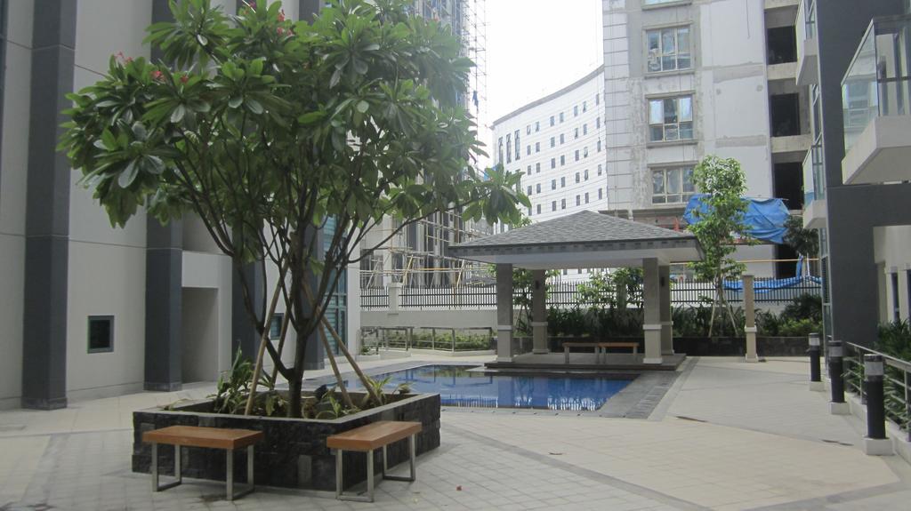 Palm Tree Near Mnl Airport Terminal 3 By Elr Apartment *