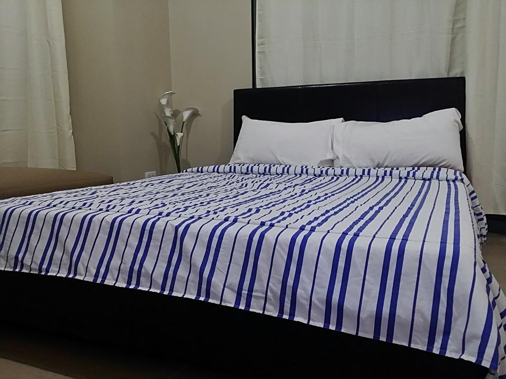 Apartment Palm Tree Near Mnl Airport Terminal 3 By Elr *