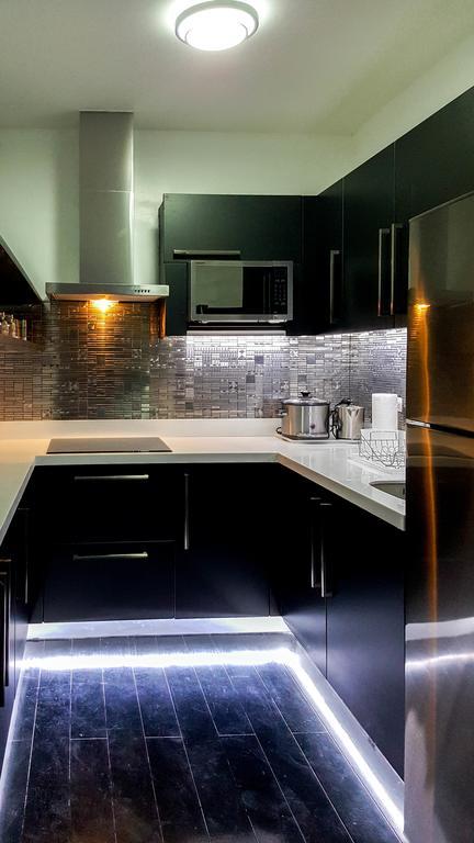 Apartment Modern Luxury Lower Penthouse Unit