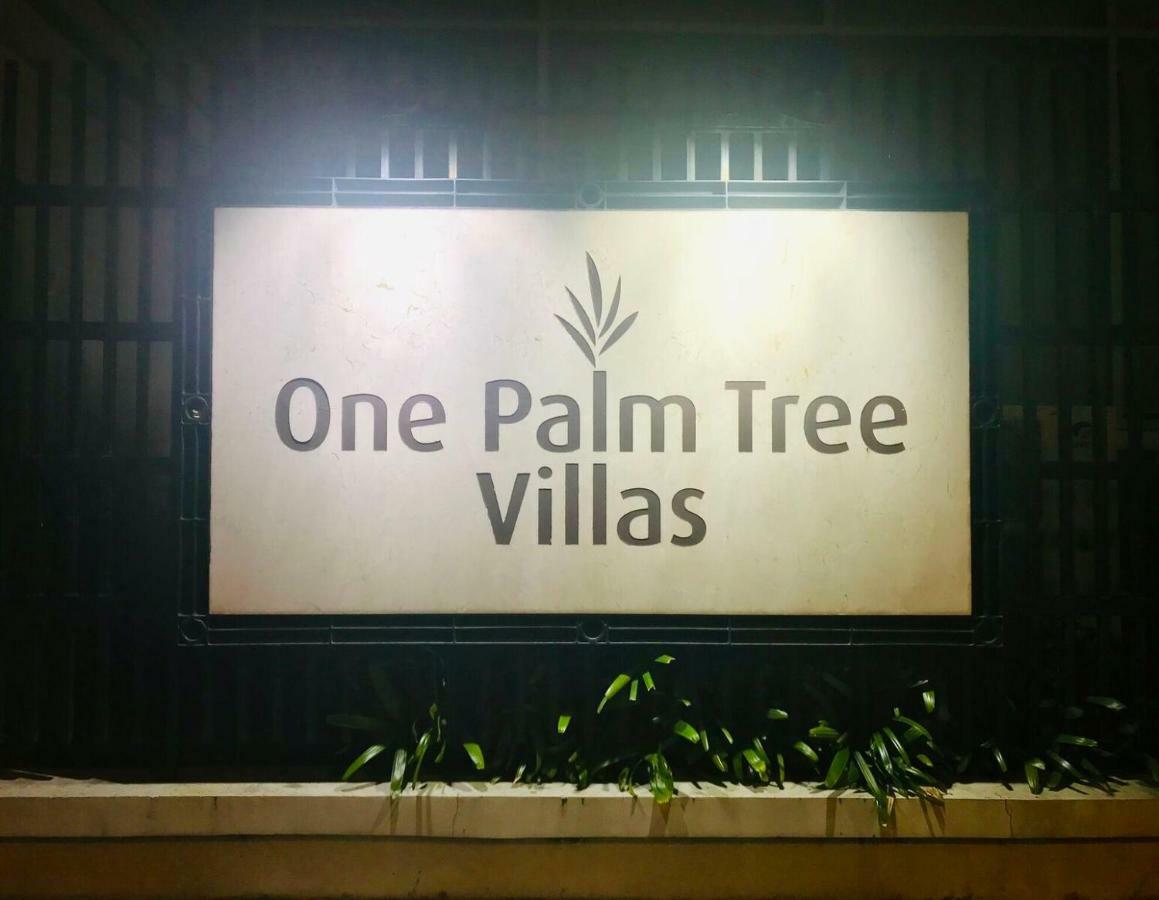 One Palm Tree Across Naia-t3 *
