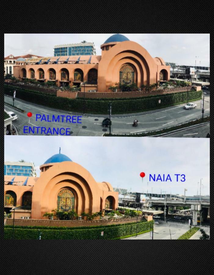 One Palm Tree Across Naia-t3 *