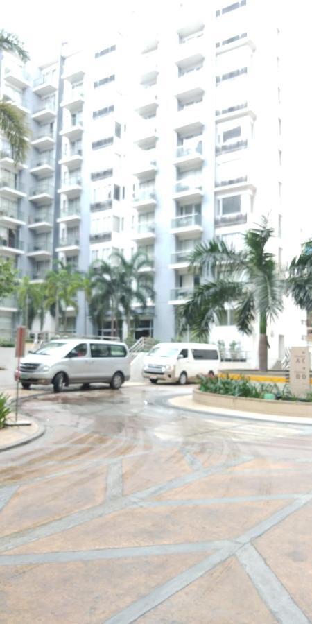Palm 1 9c