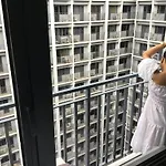 Serene Stays At Shore