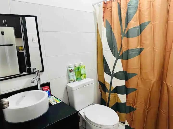 Apartment 3 Bedrooms Access Penthouse Unit Manila