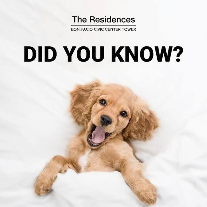 Cozy 1 - The Residences Bgc Taguig Apartment