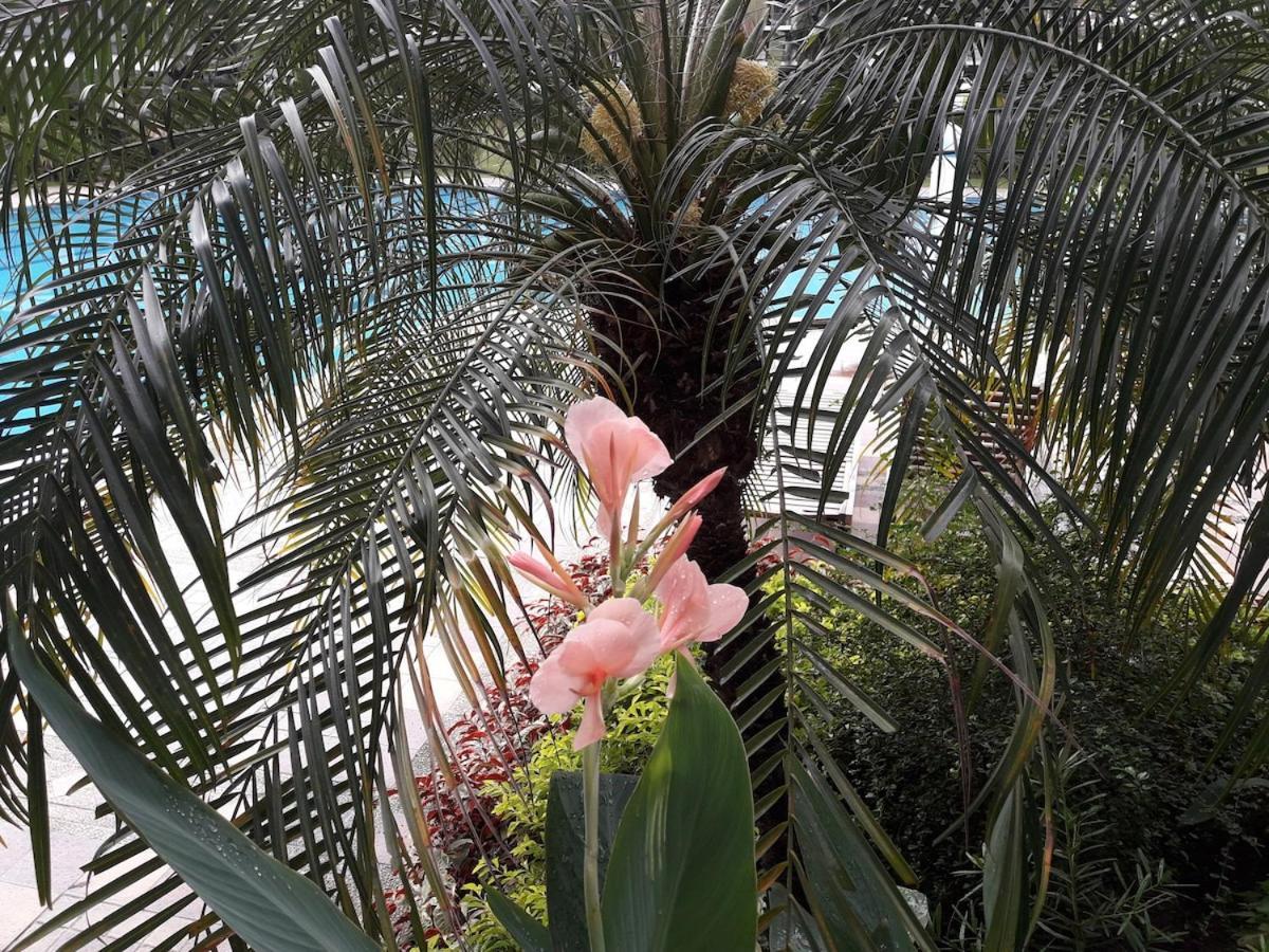 Millionaire Tropical Paradise Penthouse Royal Palm * Manila