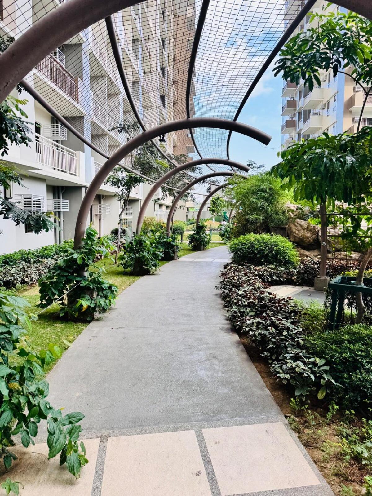 Ace * Manila