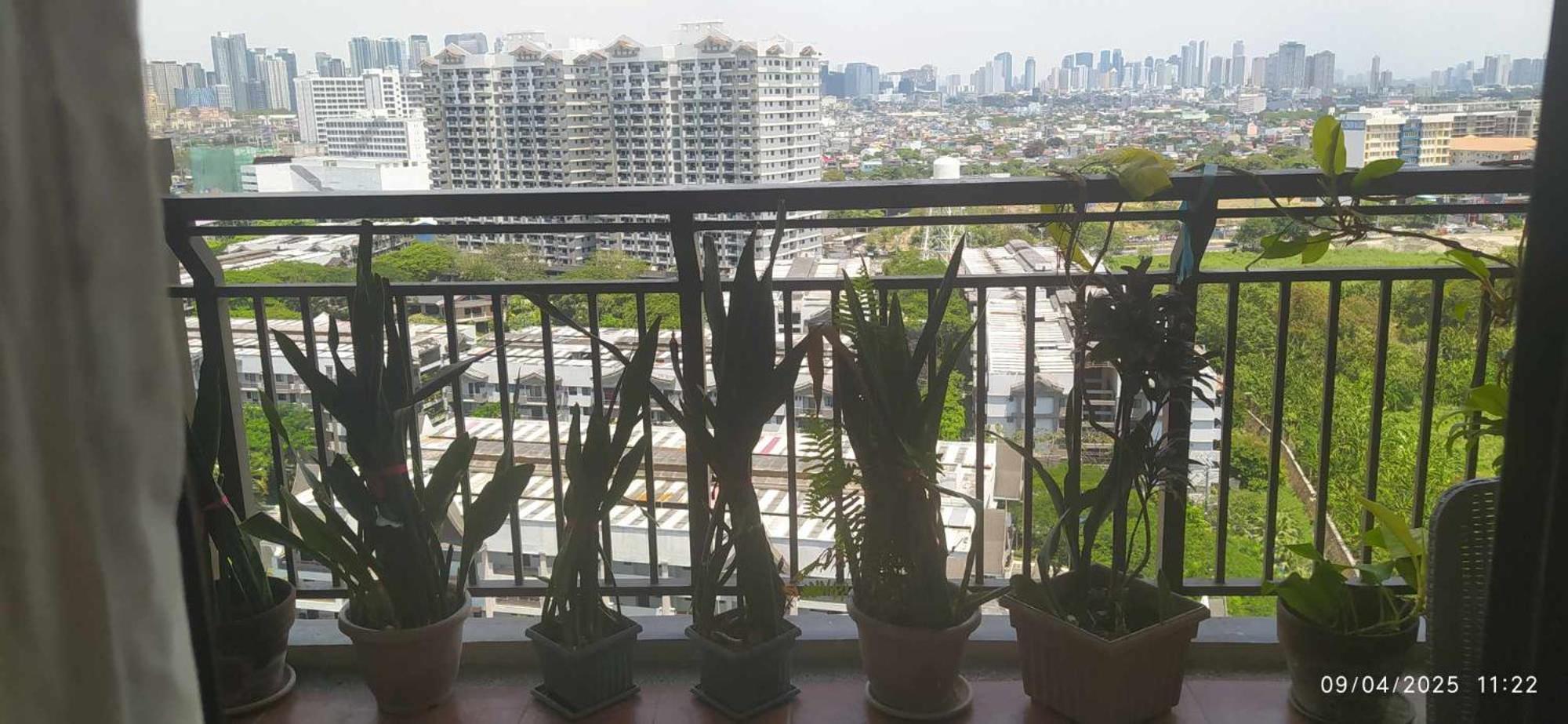Millionaire Tropical Paradise Penthouse Royal Palm Apartment