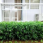 Trees Residence In Quezon City With Balcony.
