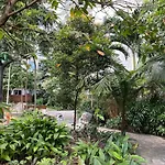 Vibrant 1Br Acqua Livingstone With Netflix, Pool & Gym