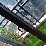 Stayhere Penthouse Executive 3Br In Vibrant Makati
